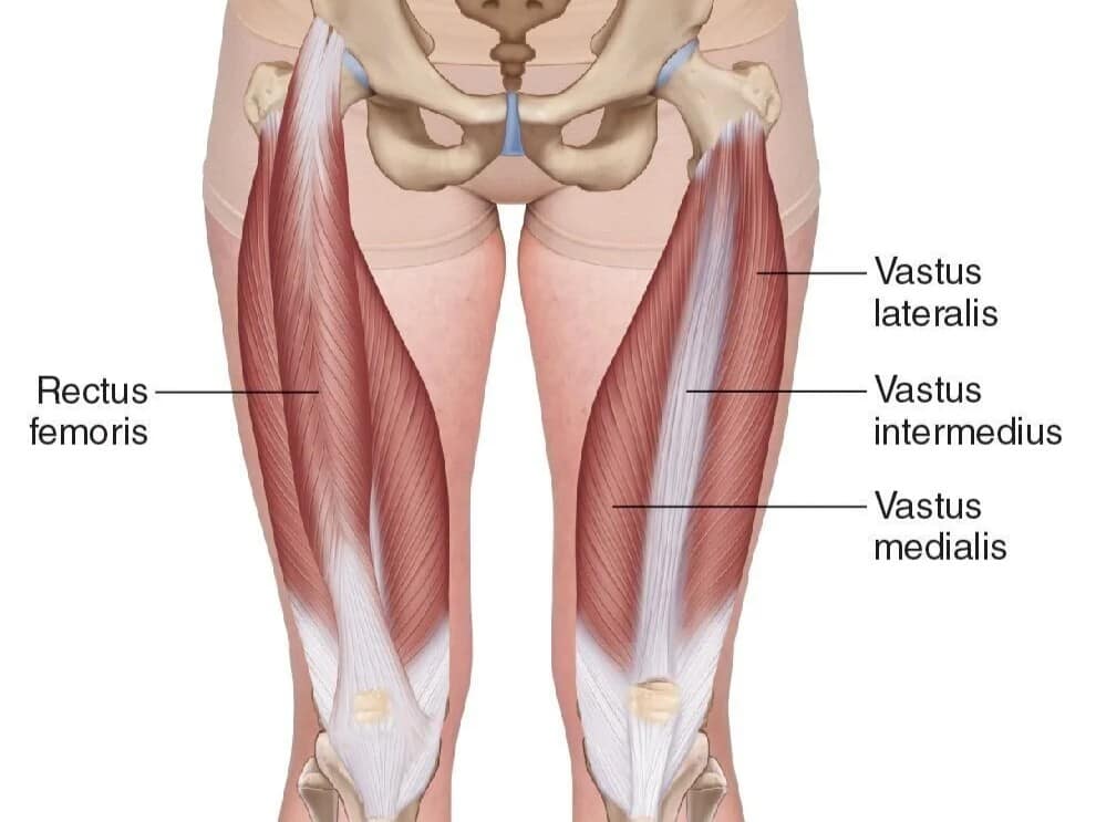 Kvadriceps sa podieľa na poradení predného skrížneho väzu ACL pri nadmernej dominancii
